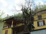 110 casa del castagno.JPG